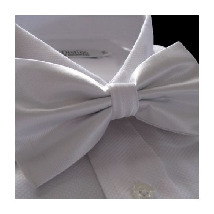 White Bow Tie