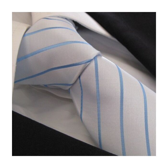 The Toy Boy Polyester Tie