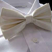 Ivory Bow Tie