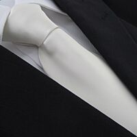 Avorio Polyester Tie