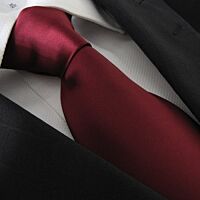 Borgogna Pianura Polyester Tie