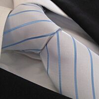 The Toy Boy Polyester Tie